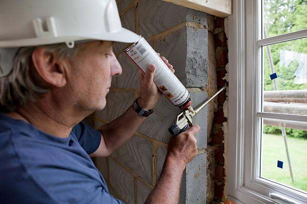 Best Insulation for New Construction  in Anahola, HI